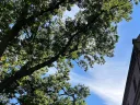 A building on Harvard's campus pictured with a blue sky
