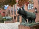 exterior of the The Harvard University Bio Labs, with two rhino statues in front of the entrance
