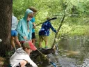Children explore a forest pond with sticks and nets, searching for creatures in the shallow water.