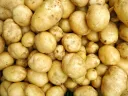 potatoes 