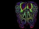 Colorful abstract design resembling an octopus with intricate swirls and patterns.