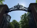 Wrought iron gates with intricate design, framed by greenery against a clear blue sky.