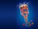 A glowing bulb shape surrounded by colorful, swirling energy lines against a blue background.