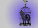 A hand holds an ornate birdcage with a silhouette of a wolf inside against a purple background.