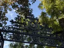 Harvard yard gates and lush foliage 