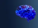Conceptual illustration of neural networks in the human brain.