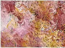 Emily Kam Kngwarray's "Anwerlarr angerr (Big yam)"