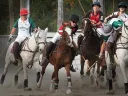 Four polo players ride horses and one swings a mallet