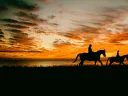 Photograph of two riders on horseback crossing a plain, silhouetted against the setting sun