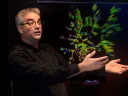 Nicholas Christakis