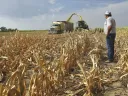 Changes in climate have surprisingly far-reaching economic effects. 