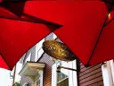 The Café Pamplona sign in Harvard Square