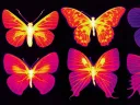 Six butterflies shown in infrared wavelengths of purple and pink colors