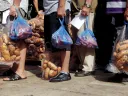 Hunger stalks southern Europe: A nationalist political party distributes food in Athens, September 14, 2012. 