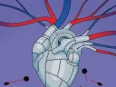 Illustration of an armor-clad heart, resistant to bacterial attacks