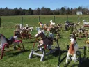 The “Rocking Horse Graveyard,” in Lincoln, Massachusetts