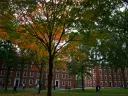 Hollis Hall and Stoughton Hall