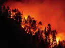 A California hillside burns